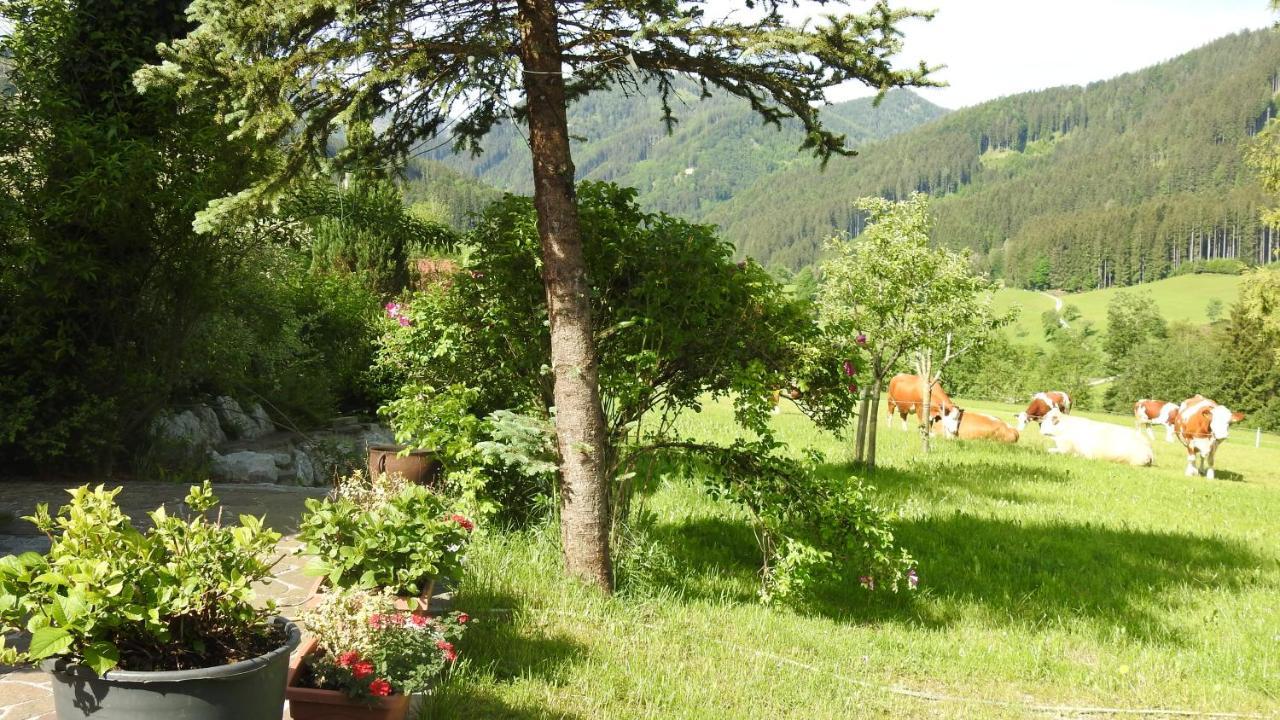 Apartmán Gross Lettenwag Göstling an der Ybbs